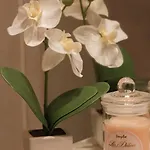 Apartmán Romance