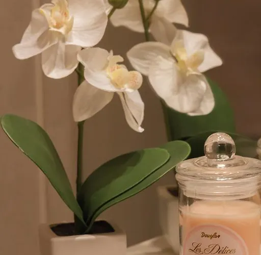 Apartamento Romance
